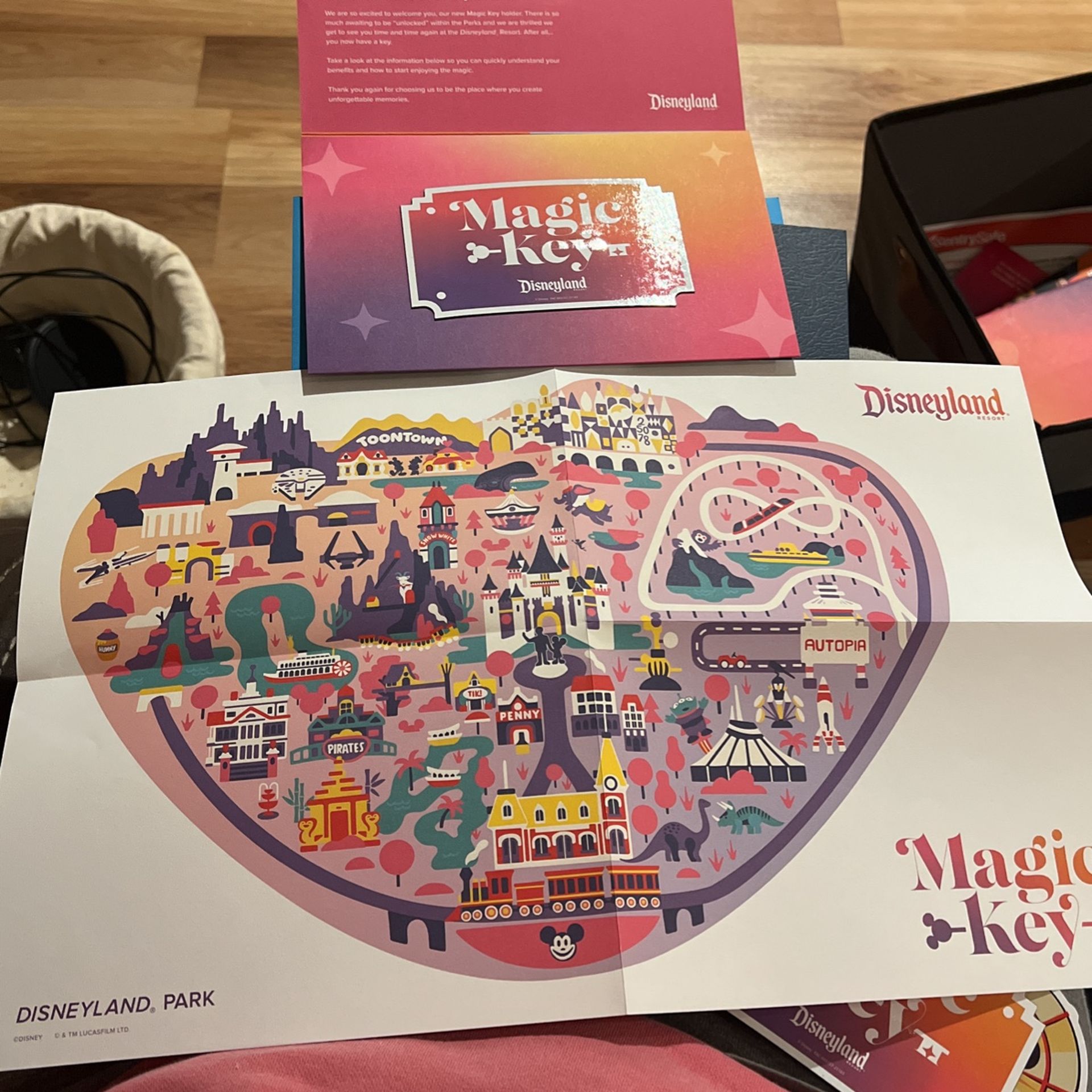Annual Passholder Magnet Magic Key Disneyland