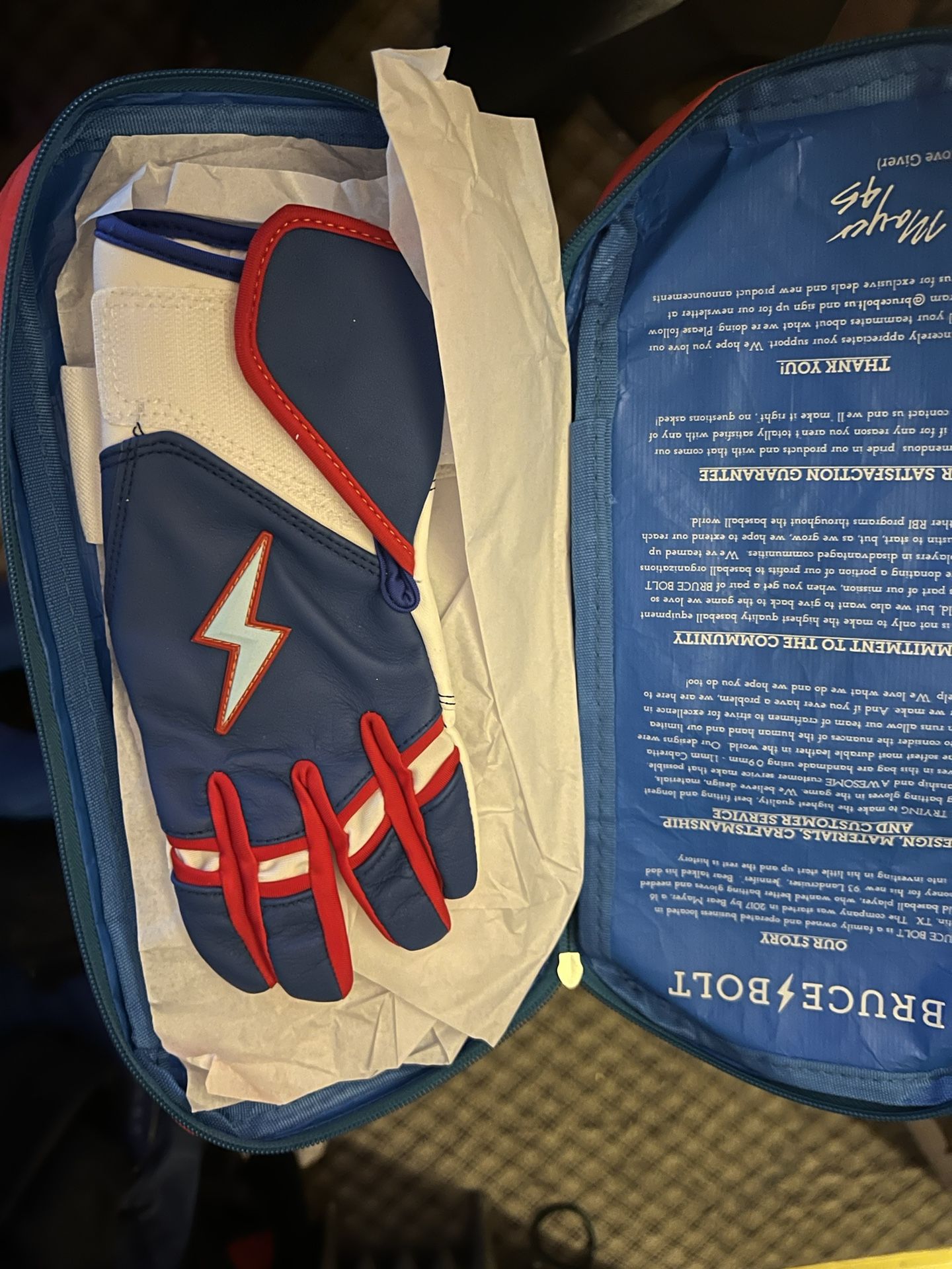Bruce Volt Baseball Glove