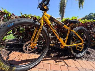 SE Beast Mode Bike