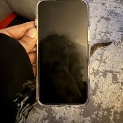 iPhone 16 Plus