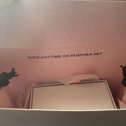 Pandora Bracelet 