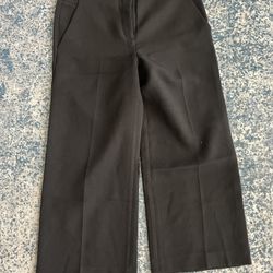 Dress Pants - Express