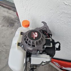 Motor Fuera De Borda 2t