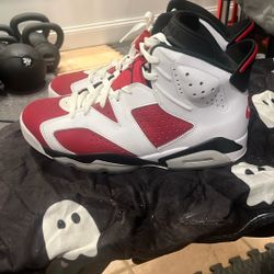 Jordan 6s
