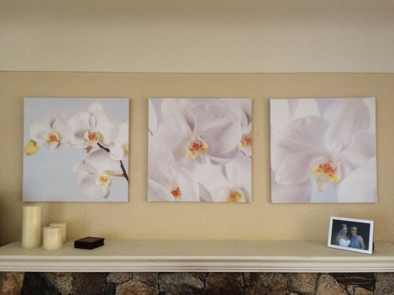IKEA Orchid Canvas pictures