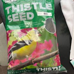 Bird Seed (premium Thistle) 