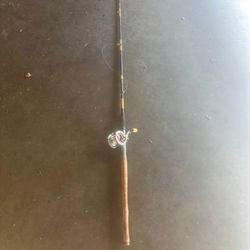 Saltwater fishing pole