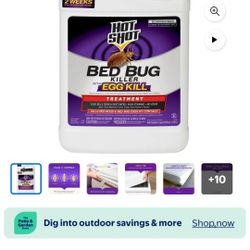 Hot Shot Bed Bug Killer Spray, Kills Bed Bugs and Eggs Indoors, 1 Gallon