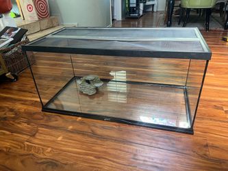 Zoo Med Reptile Tank