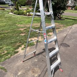 Werner 6 Foot Ladder