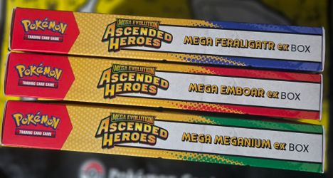 Pokemon TCG Mega Evolution Ascended Heroes ex Box Set Meganium Embroar Feraligator
