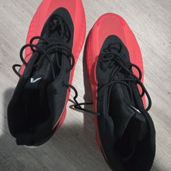 Ant Man's Adidas Size 11