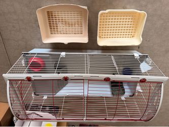 Rabbit Small Pet Supplies