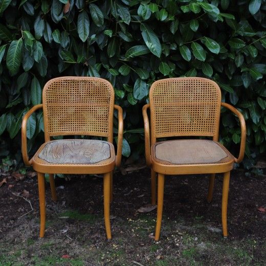 Project Bentwood Chairs Josef Hoffman For Stendig