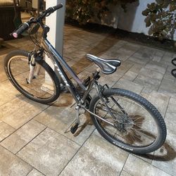 Trek Bike Mint