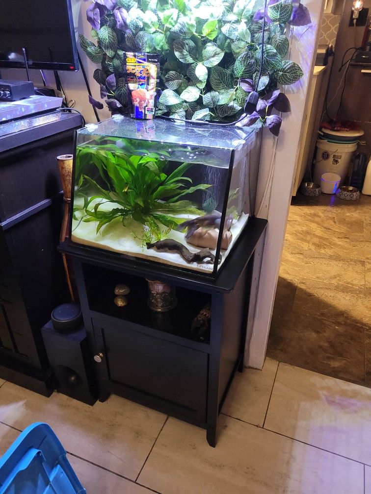 7 gallon Lifeguard AQUATIC FULL VIEW AQUARIUM WITH OVERFLOW BUILT IN