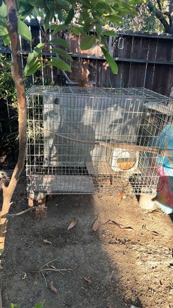 Is big cage