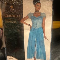 Cinderella costume -Adult Size-XL/14-16/Brand New