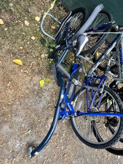 Tráiler Bike