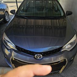 Toyota Corolla 2016 Le Eco