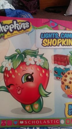 Shopkins book