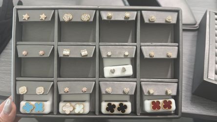 Earrings