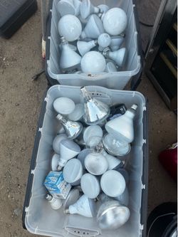 Light bulbs
