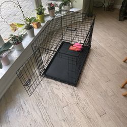 Dog Cage