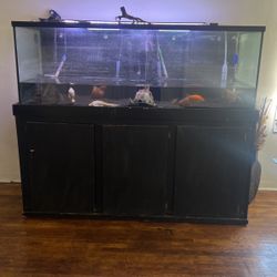 Aquariums And Stand