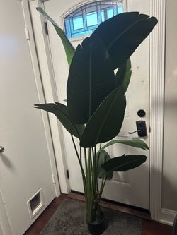 Artificial Birds of Paradise Plant fake  6ft