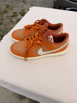 Brand new Nike Dunk