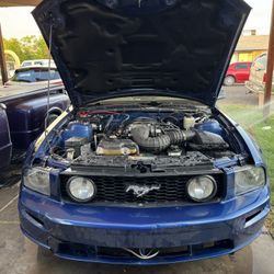 2007 Ford Mustang
