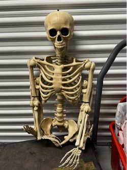 Full size skeleton