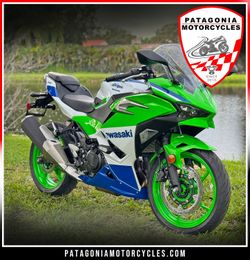2024 Kawasaki Ninja 500 SE 40th Anniversary Edition ABS