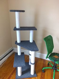 Cat climber
