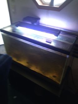 29 gallon tank with stand lid filter
