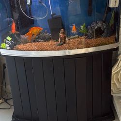 Fish tank 50 gallons
