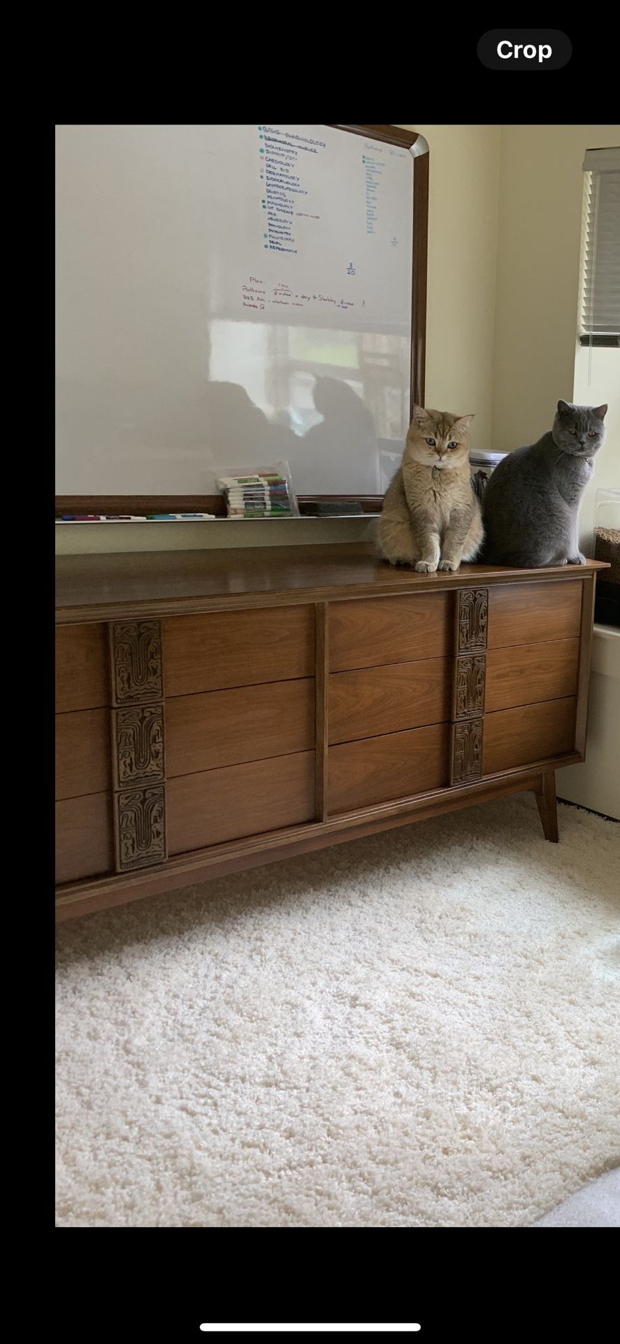 MCM dresser - Bassett Mayan Collection (with mirror)