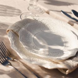 Porcelain Plates for rent 