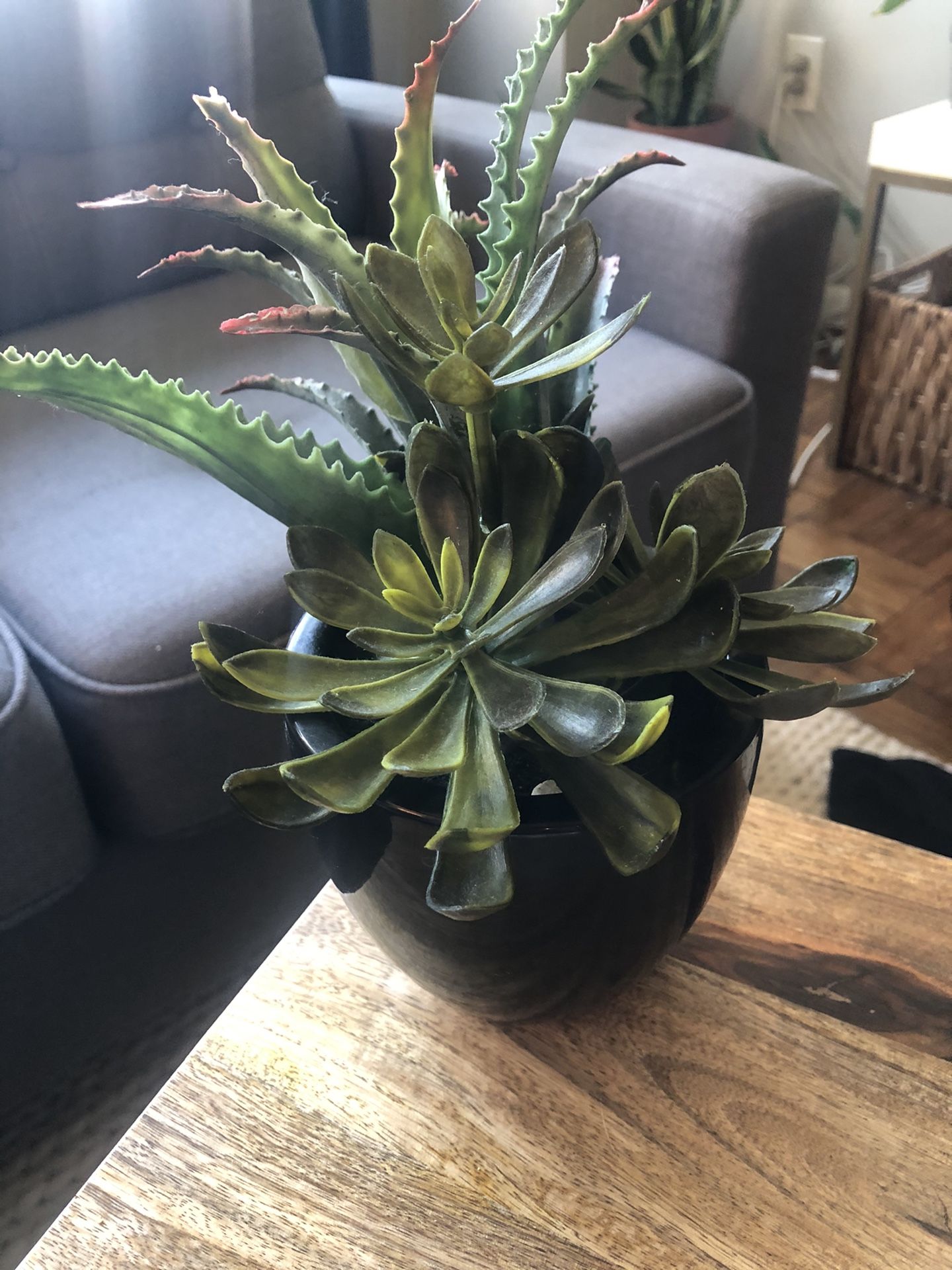Fake succulent potted plant