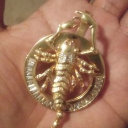 14k Gold Scorpion Pendant pickup near Spring