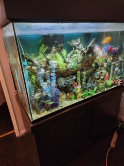 150-gallon Aquarium Tank And Cabinet Only. No Fish