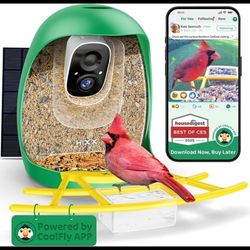 Bird Feeder with Camera, Smart AI Identify Bird Buddy Species, Smart