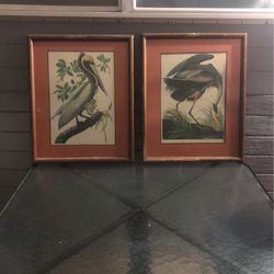Picture Frames