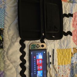 Switch Oled Travel Case Screen Protector (Already On)