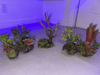 Aquarium Rocks