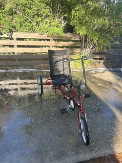 Vintage Ez-tri Classic 