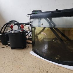 Fish tank and pumps