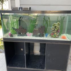 75 Gallon Aquarium With Filter and Decorations 