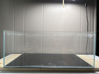 6.4 Gallon Shallow Tank